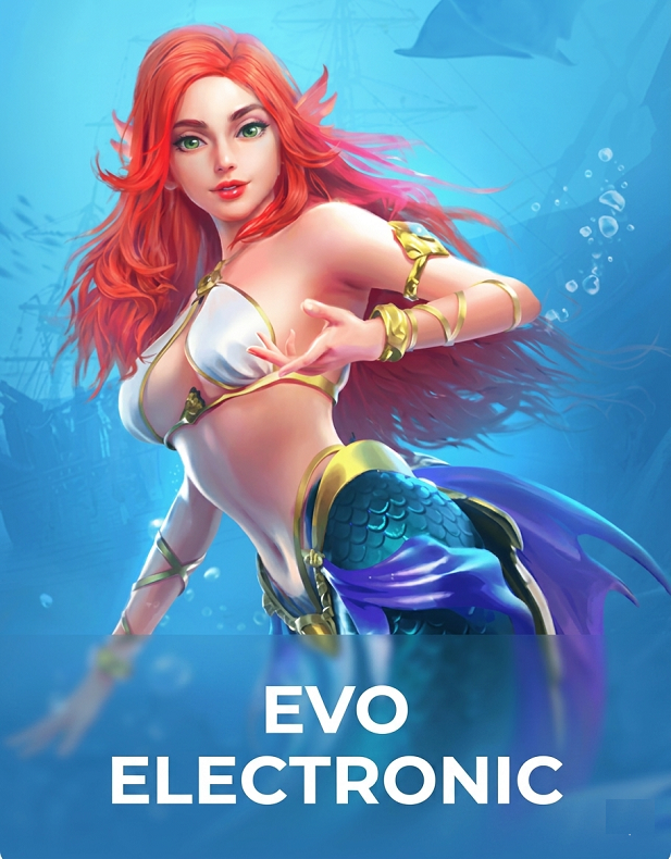 EVO_ELECTRONIC